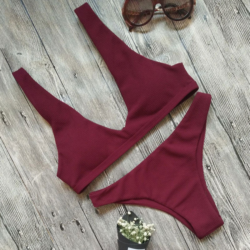 Women's Textured V-Neck Two-Piece Bikini Set