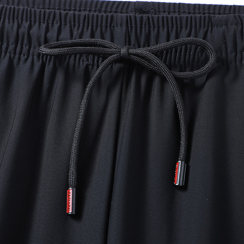 Men's Summer Plus Size Quick-Dry Sports Pants