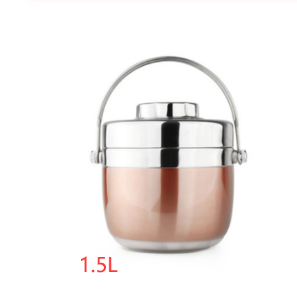 Stainless Steel Insulated Lunch Box, 2-Tier Bento Container