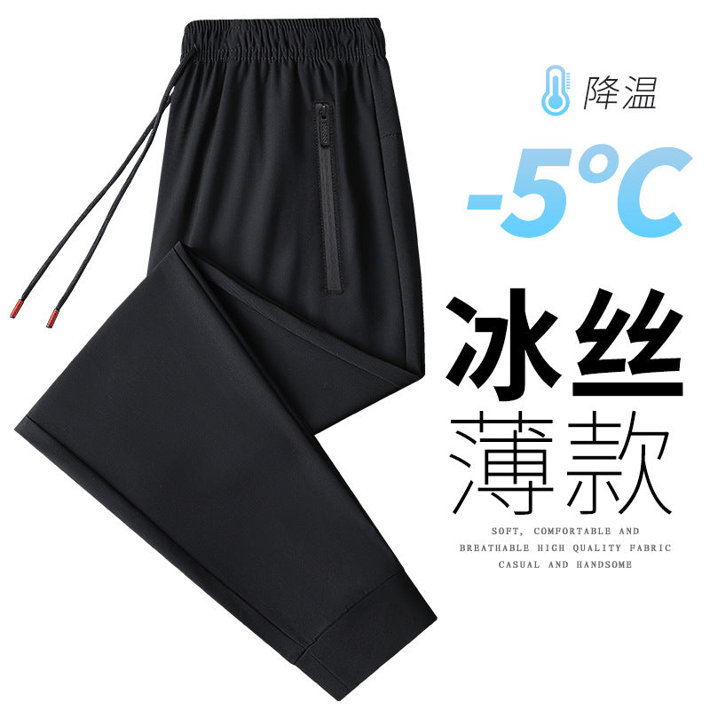 Men's Summer Plus Size Quick-Dry Sports Pants