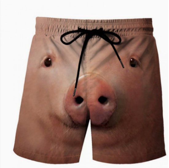 Mathias Shorts - Brown Men's Swim Trunks with Print