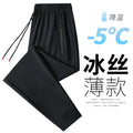 Men's Summer Plus Size Quick-Dry Sports Pants