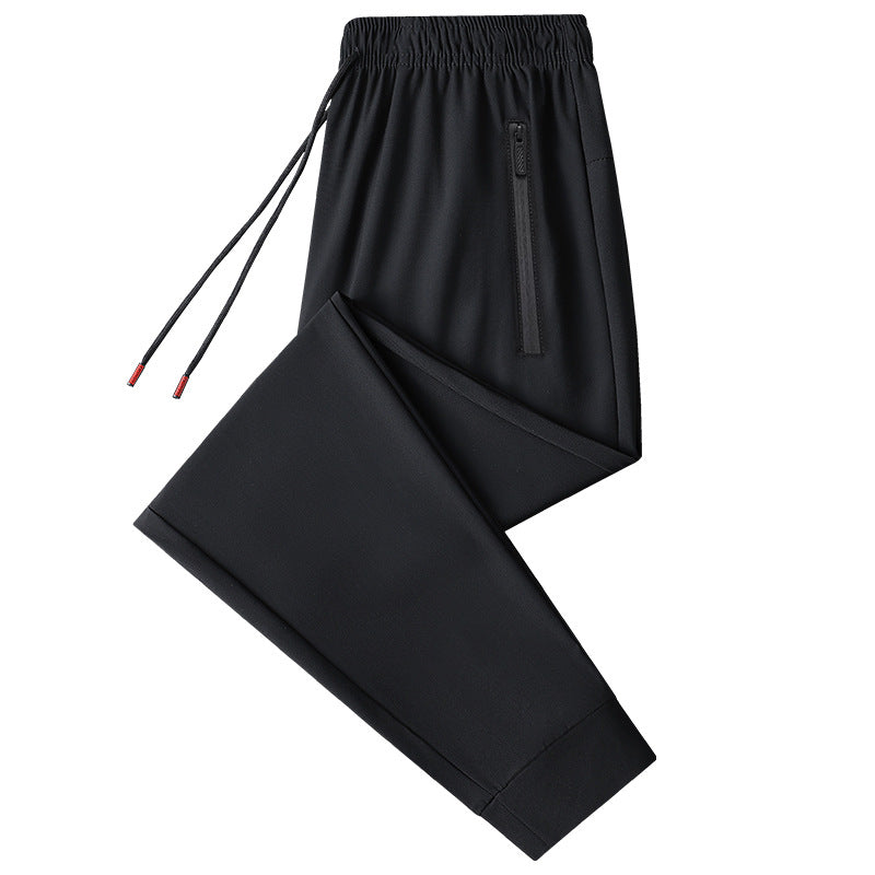 Men's Summer Plus Size Quick-Dry Sports Pants