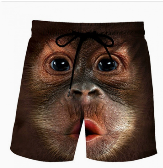 Mathias Shorts - Brown Men's Swim Trunks with Print